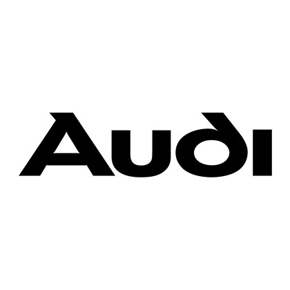 Audi Dhanya Auto Spare Parts
